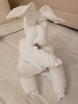 Rabbit Towel Animal 