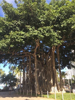 In Honolulu