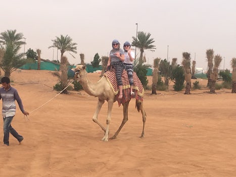 Arabian Nights Tours - Private excursion 