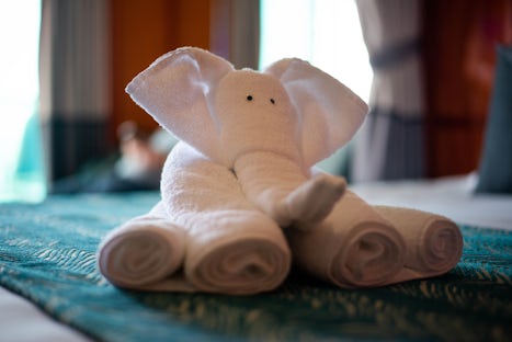 Elephant towel animal our stateroom steward made for us.