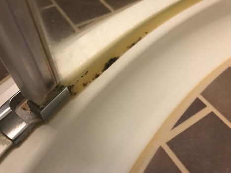 Mold everywhere in the bathroom.