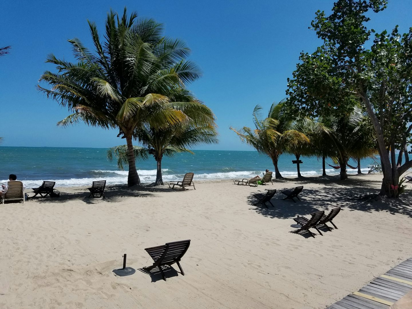 Beach at the Mariposa in Placencia