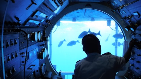 Atlantis submarine tour in Barbados