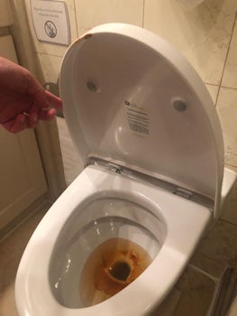The bathroom was left for us after they “fixed” the toilet. Brown water
