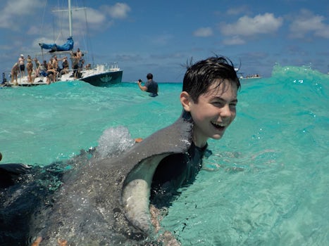 More stingrays in Grand Cayman