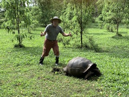 A Giant Tortoise walking me through the forest.