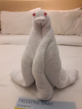 One of the nightly towel animals left by our room steward to amuse us!