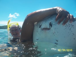 Snorkeling with the sting rays