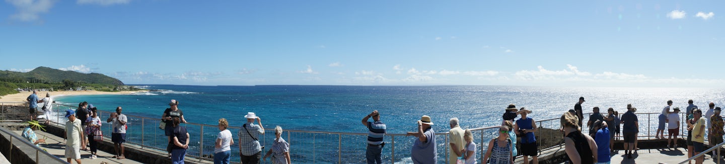 Taken on our Hawiian Tour of the coastal lookout spot.