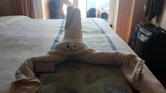 Scorpion towel animal on our bed