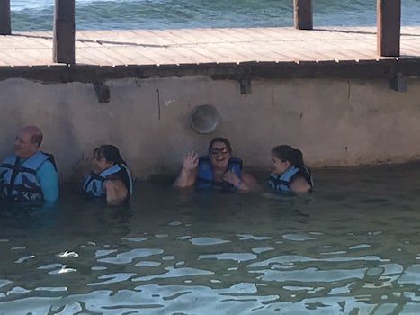 Dolphin Swim Adventure in Costa Maya, Mexico