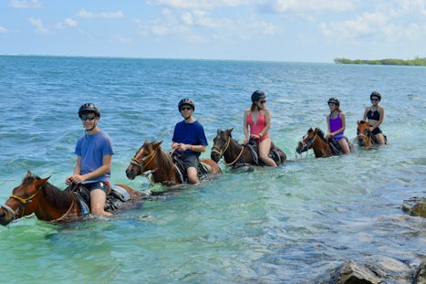 Beach horseback ride and swim (Roatan)