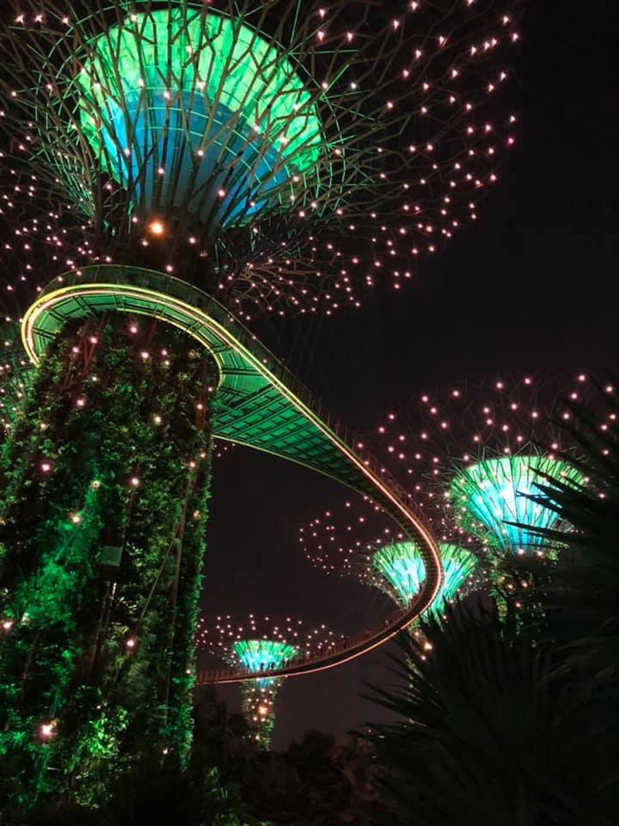 Super Trees light show in Singapore