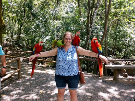 Holding the parrots at the preserve in Honduras.