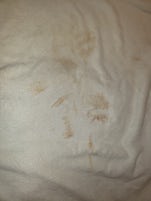 These are only a few of the rust-colored spots on the towel my wife used to
