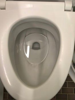 Filthy toilet!