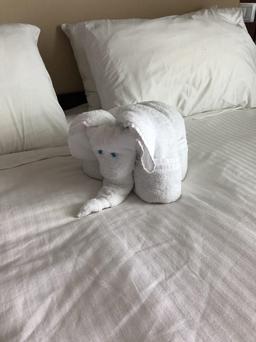 He left animal towels on the bed too!