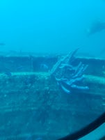 Submarine at Aruba 