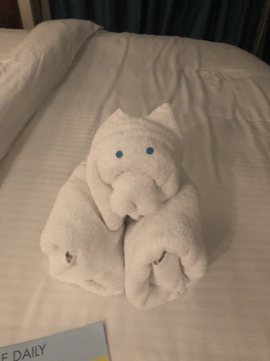 Great towel decoration though.