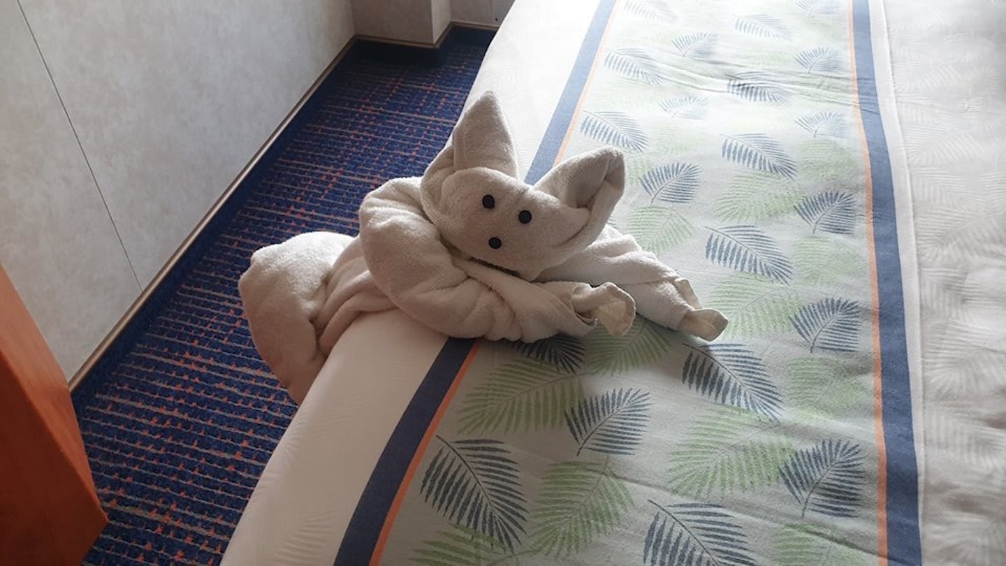 One of the everyday towel animals made by our cabin steward...