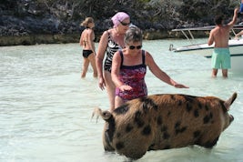 Swimming with pigs at Big Major Cay, Exumas, Bahamas