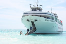 A stop for snorkeling.  Amazing bow landing.  Bahamas