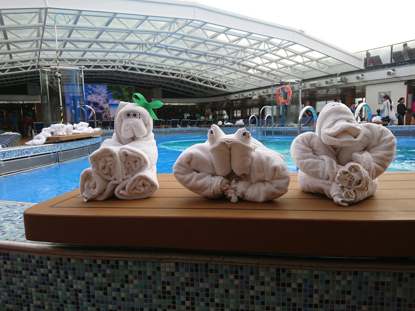 Towel animals at Dome Pool