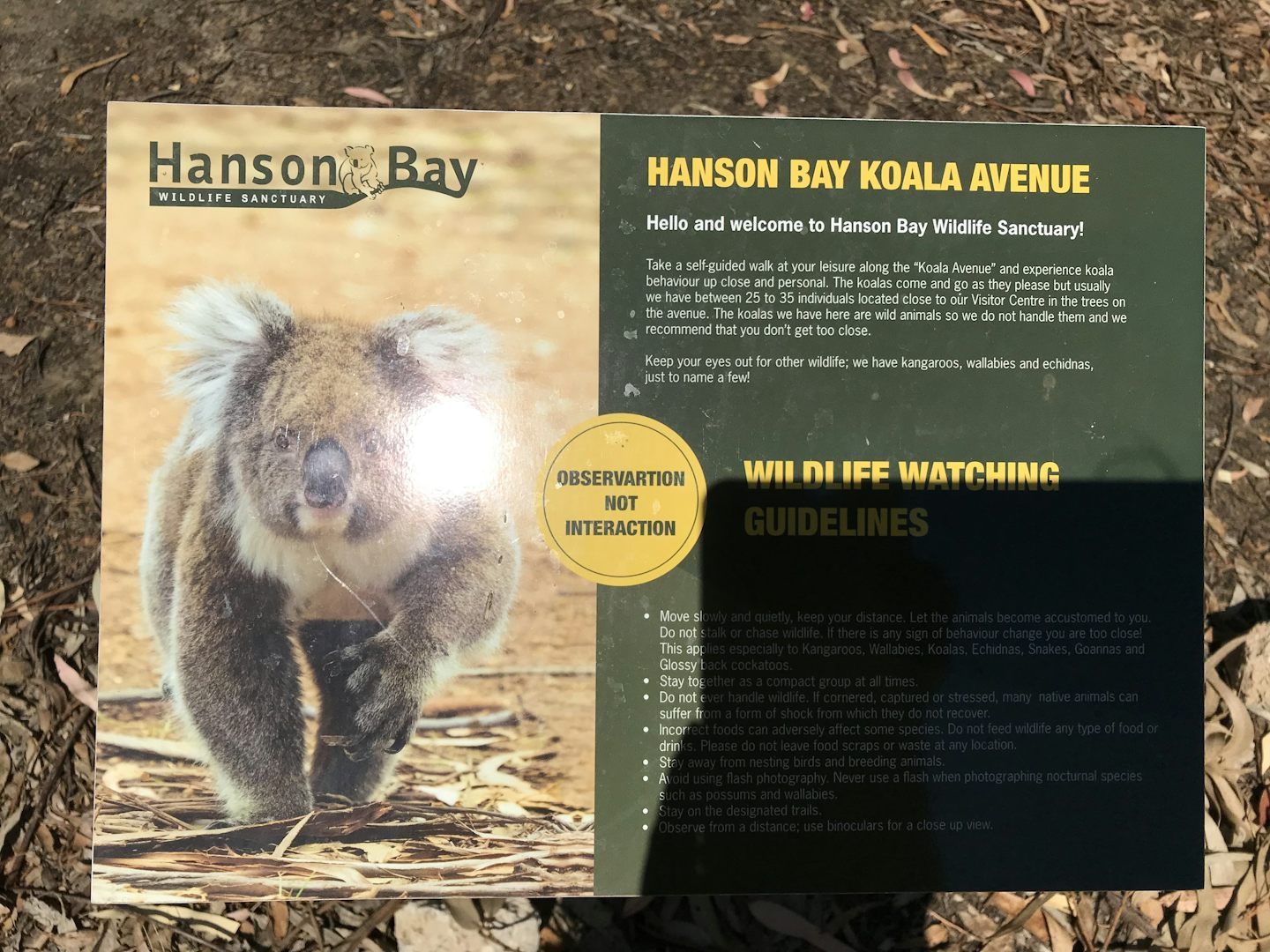 Hansen Bay Koala Park
