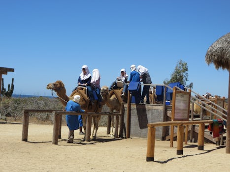 The ramp where you get on the camels