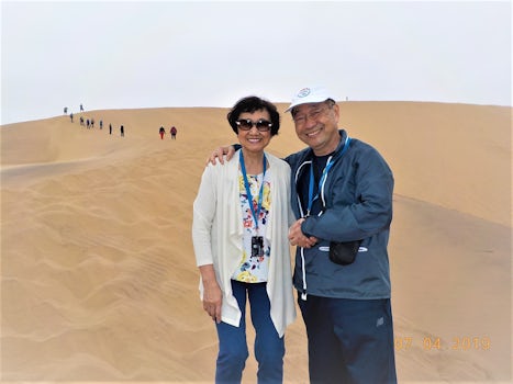 Dune 7, the highest of the famous massive san dunes that line the coast, Do