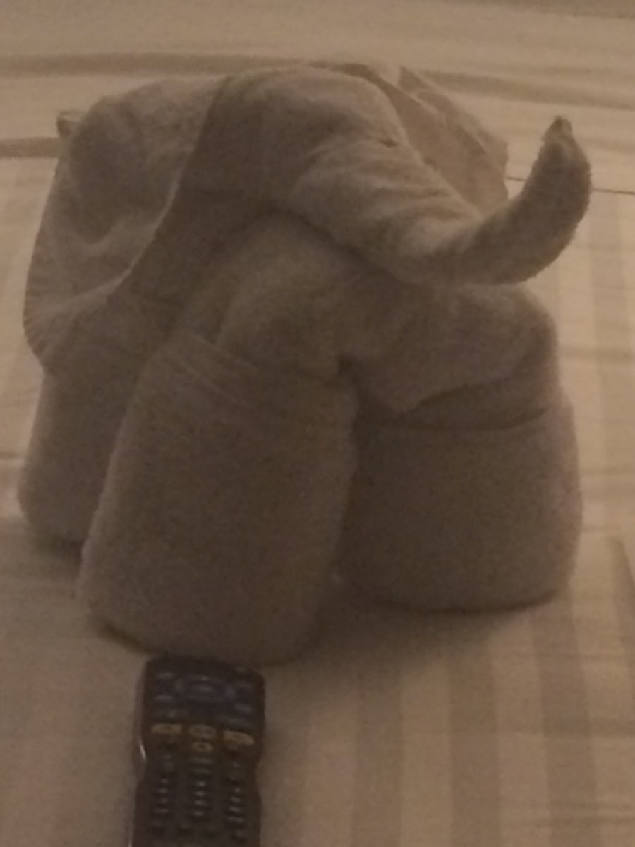 One of the nightly towel sculptures