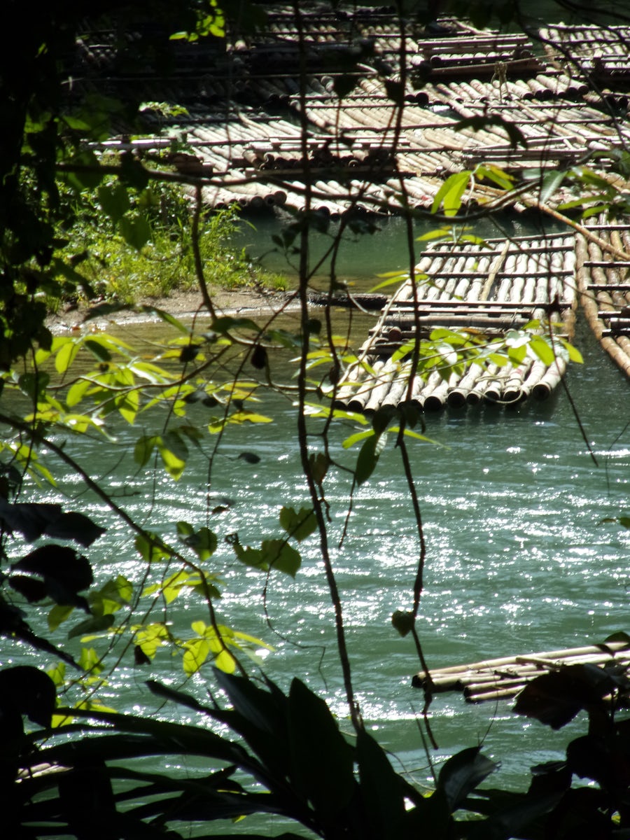 raft down the Martha Brae River Jamacia