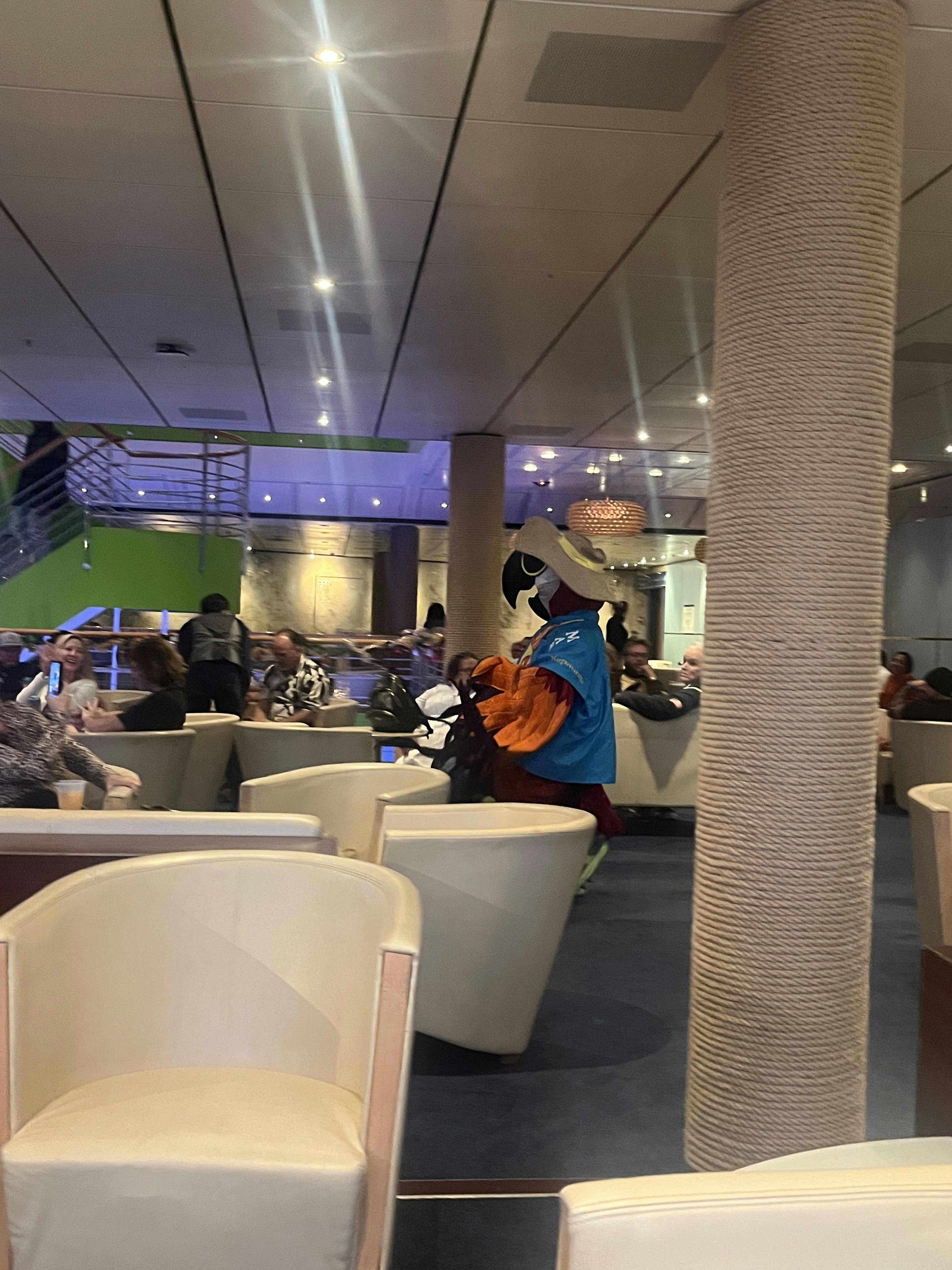 margaritaville sea cruise