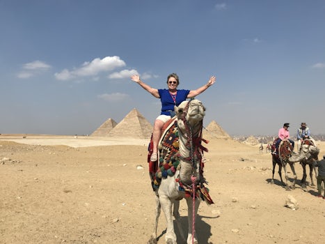 Camel ride at the pyramids