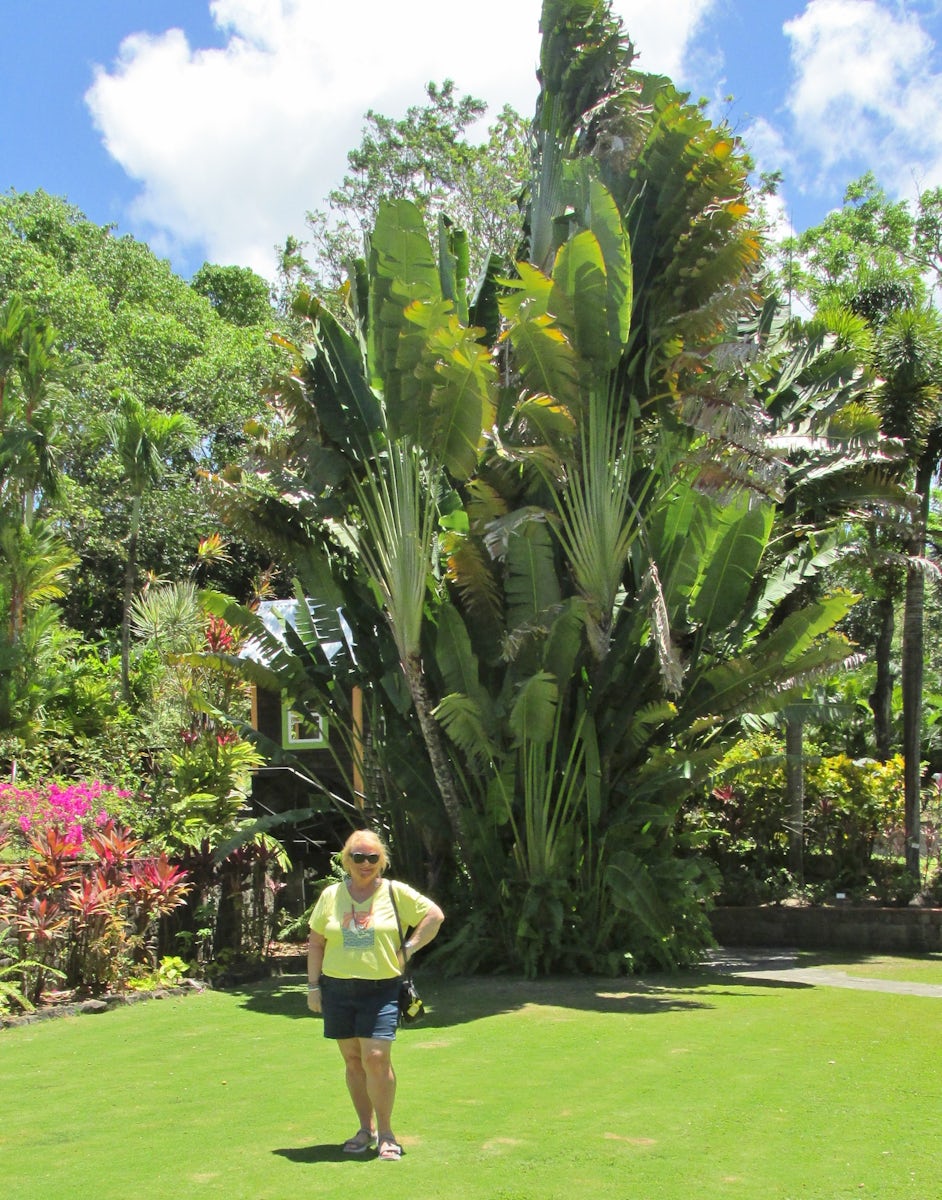 Our visit to Romney Manor plantation on beautiful St. Kitts! It was amazing