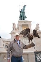 Falcon at Fisherman&#39;s Bastion, Budapest