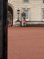 Buckingham Palace Guard. Took the Panorama of London tour that stated it wa