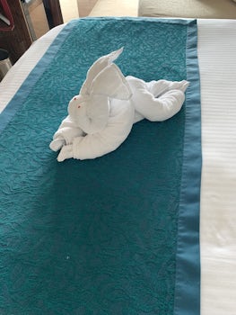 Towel rabbit left by the steward