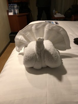 Towel Animal 