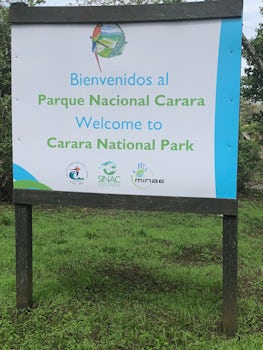 We took a tour in Carara National Park.  We walked a ways on a paved walkwa