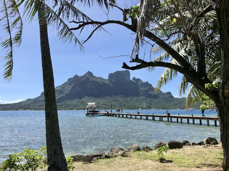 Across the road from Bloody Mary’s, Tahiti.