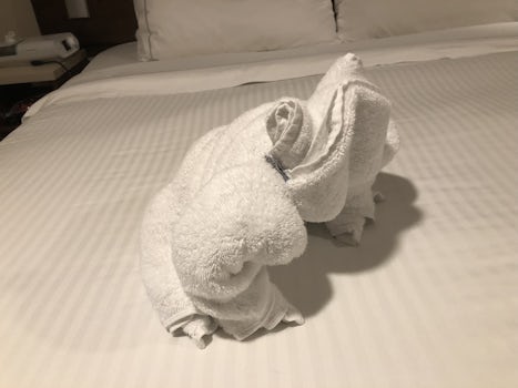 Towel animals and critters each evening upon returning to cabin