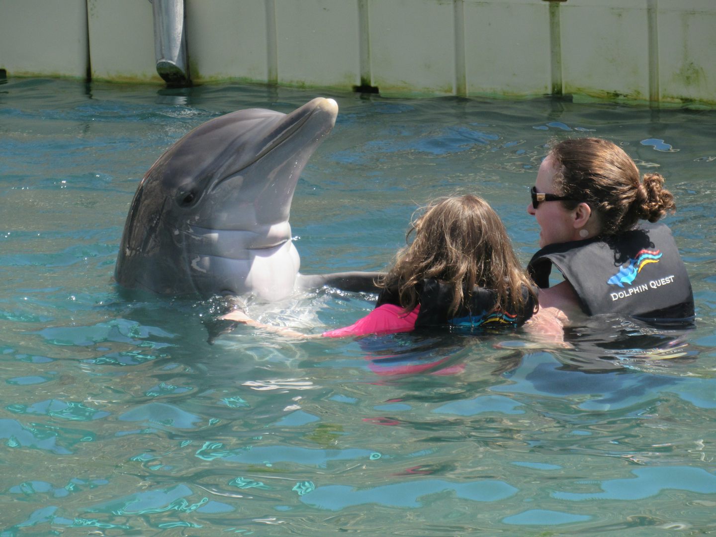 Dolphin Quest at Dockyard