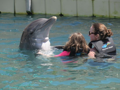 Dolphin Quest at Dockyard