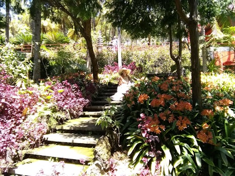 The beautiful Monte Palace Tropical Garden above Funchal, Madeira Island.. 