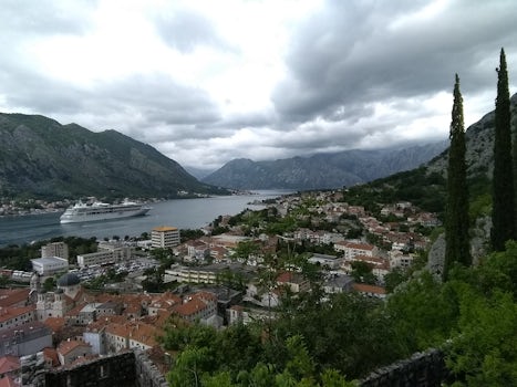 View from the walk up the mountain looking back on Kotor Bay