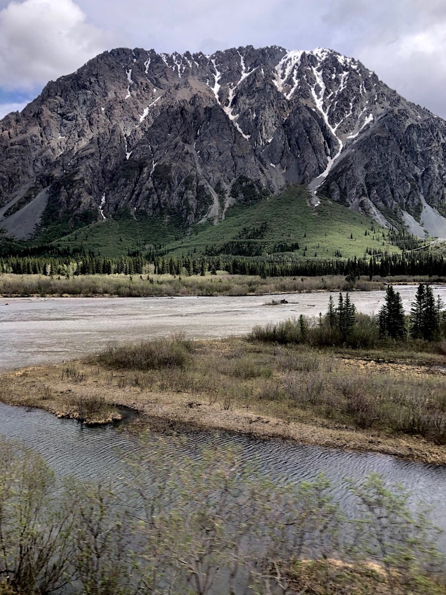 From sightseeing train in Denali