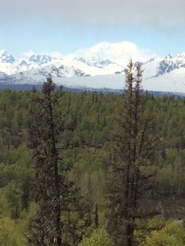 View from tree house at McKinley Lodge