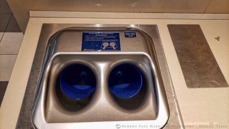 Hand washing station in the Lido buffet.  They wash and rinse your hands bu