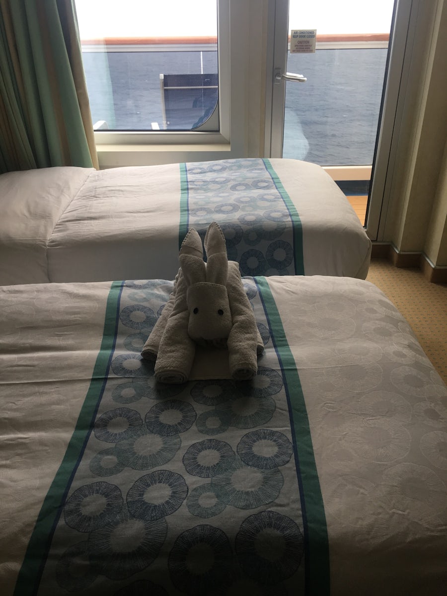 Can you Name that Towel Animal?